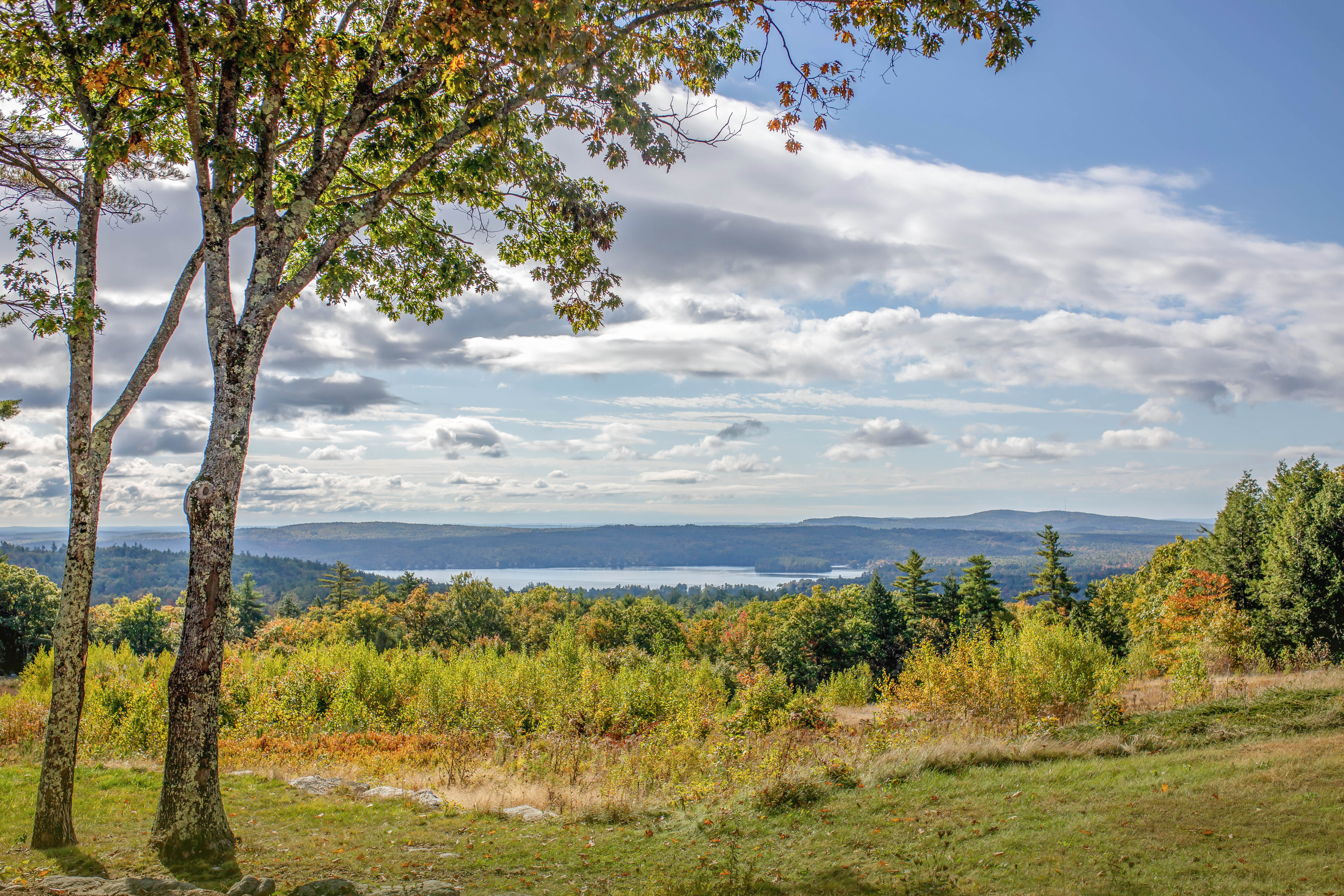 Evans Mountain Farm Bow Lake view